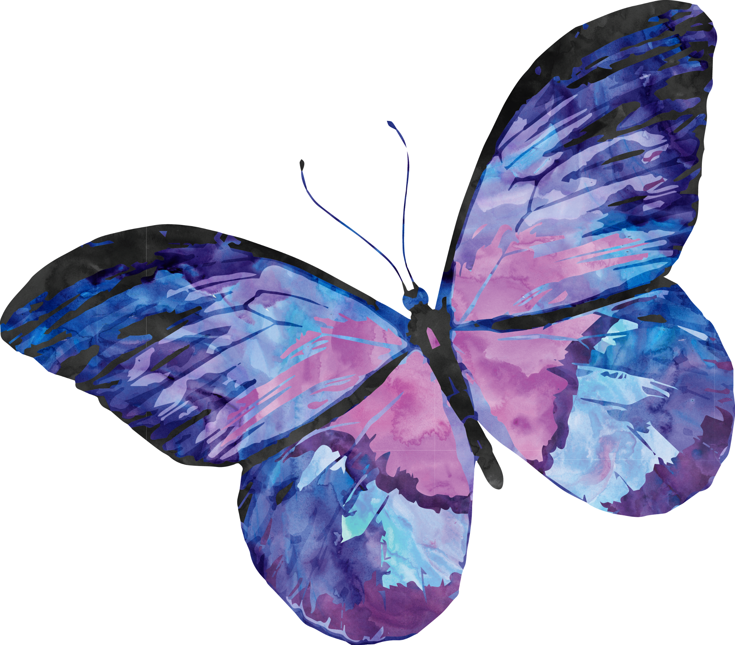 Розово голубая бабочка. Бабочка рисунок. Акварель "бабочка". Розовые бабочки. Бабочка фиолетовая.