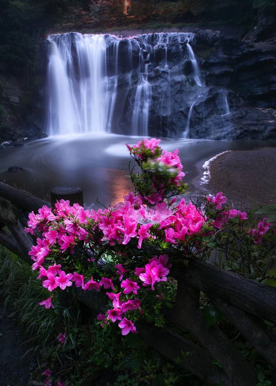 картинки доброе утро водопад красивые