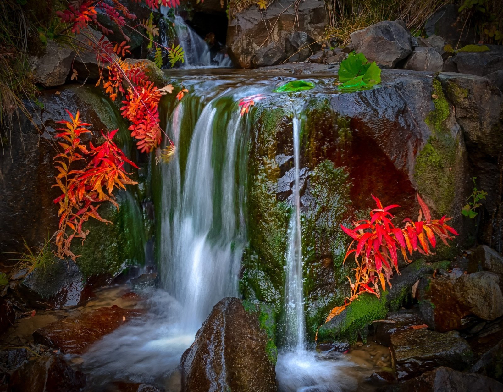 Водопад с цветами