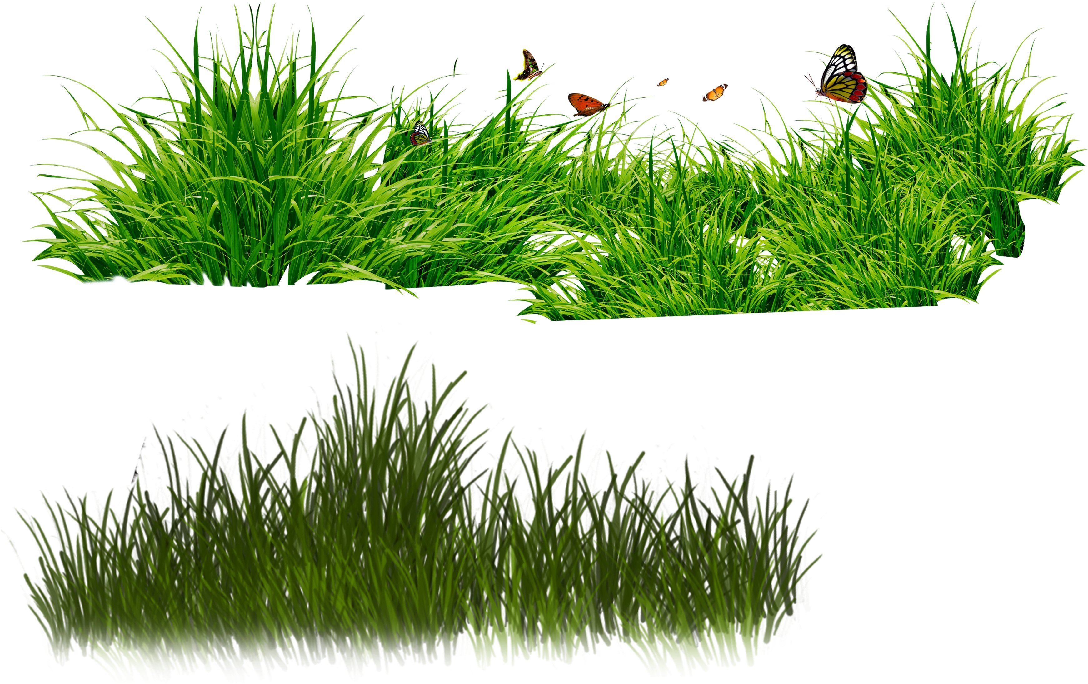 картинки трава для детского сада
