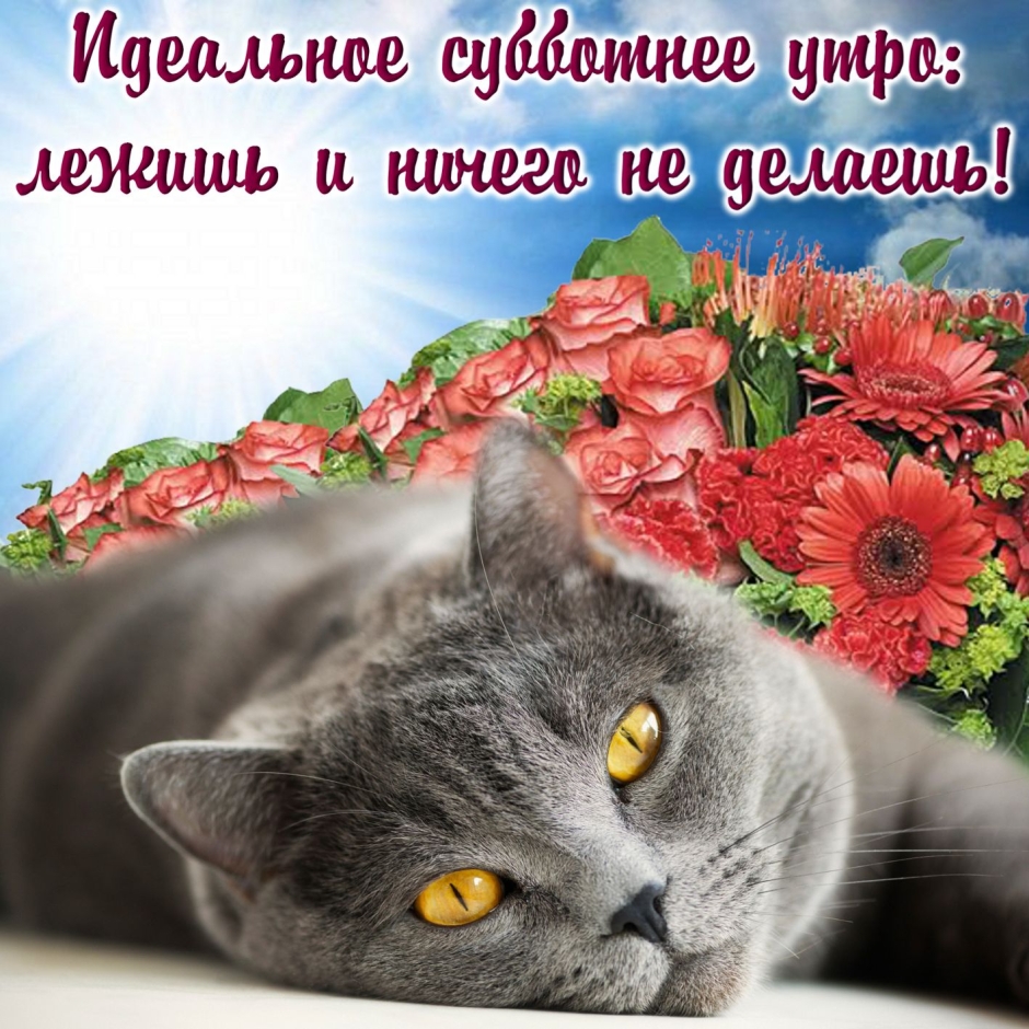 Доброе утро субботы