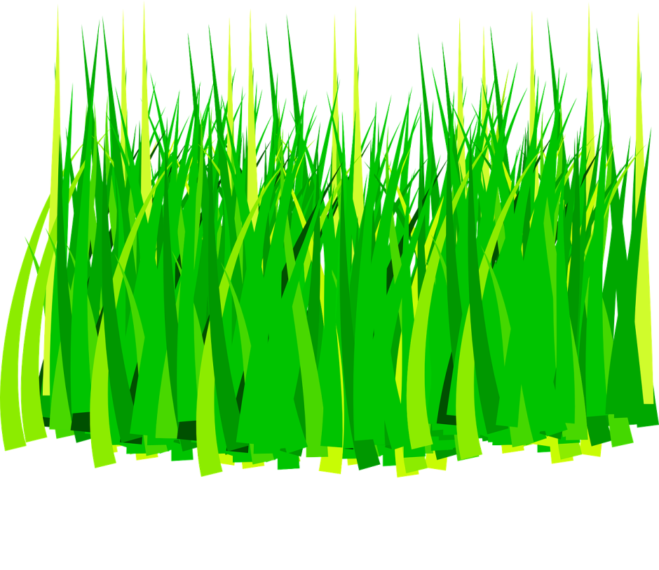 Нарисованная травка на прозрачном фоне