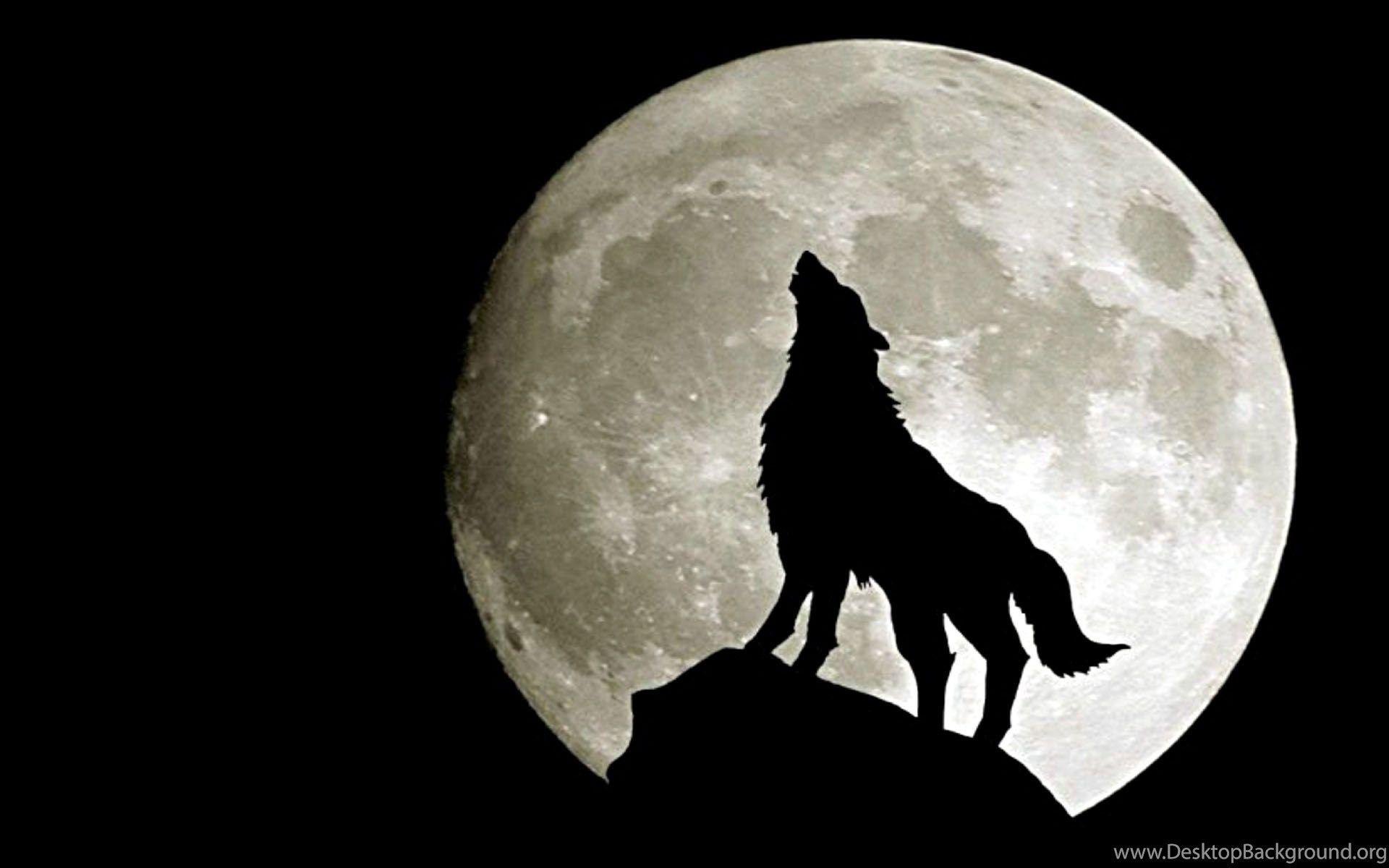 Вой собаки песня. Волк воет на луну. Собака воет на луну. Силуэт волка на горе.