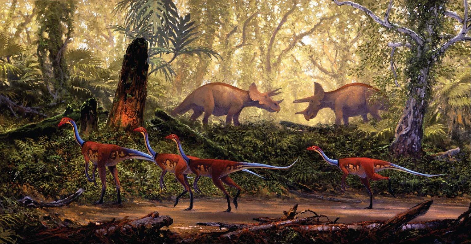 Мезозойская группа. Дуглас Хендерсон динозавры. Динозавры мезозойской эры. Юрский период мезозойской эры. Меловой период мезозойской эры.
