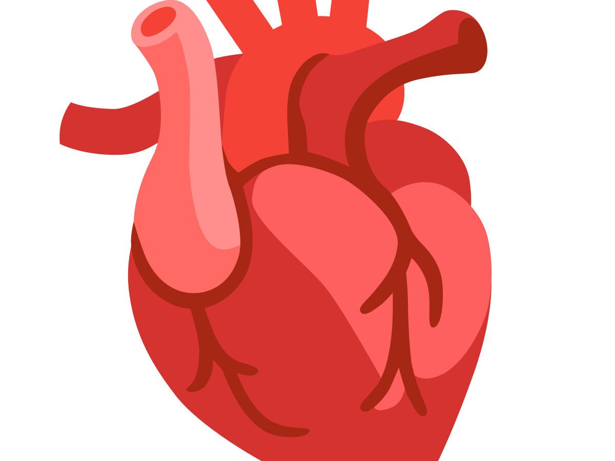 Сердце человека стикер