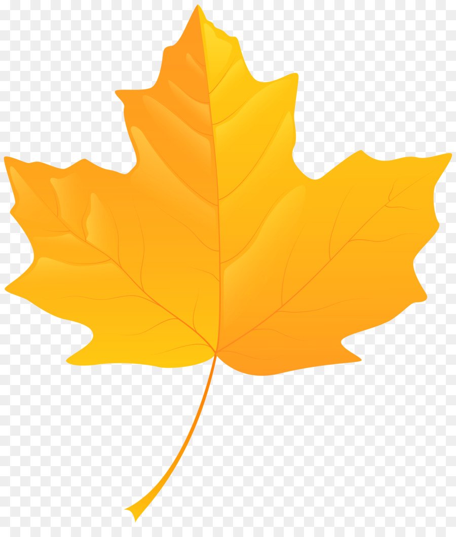Кленовый лист желтый