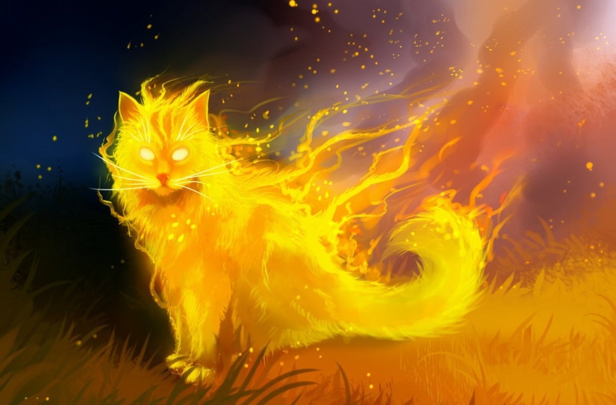 Yellow fire. Коты Воители огонёк. Коты Воители Огнезвёзд в огне. Коты Воители рыжая кошка Огненная. Коты Воители Огненные котёнок.