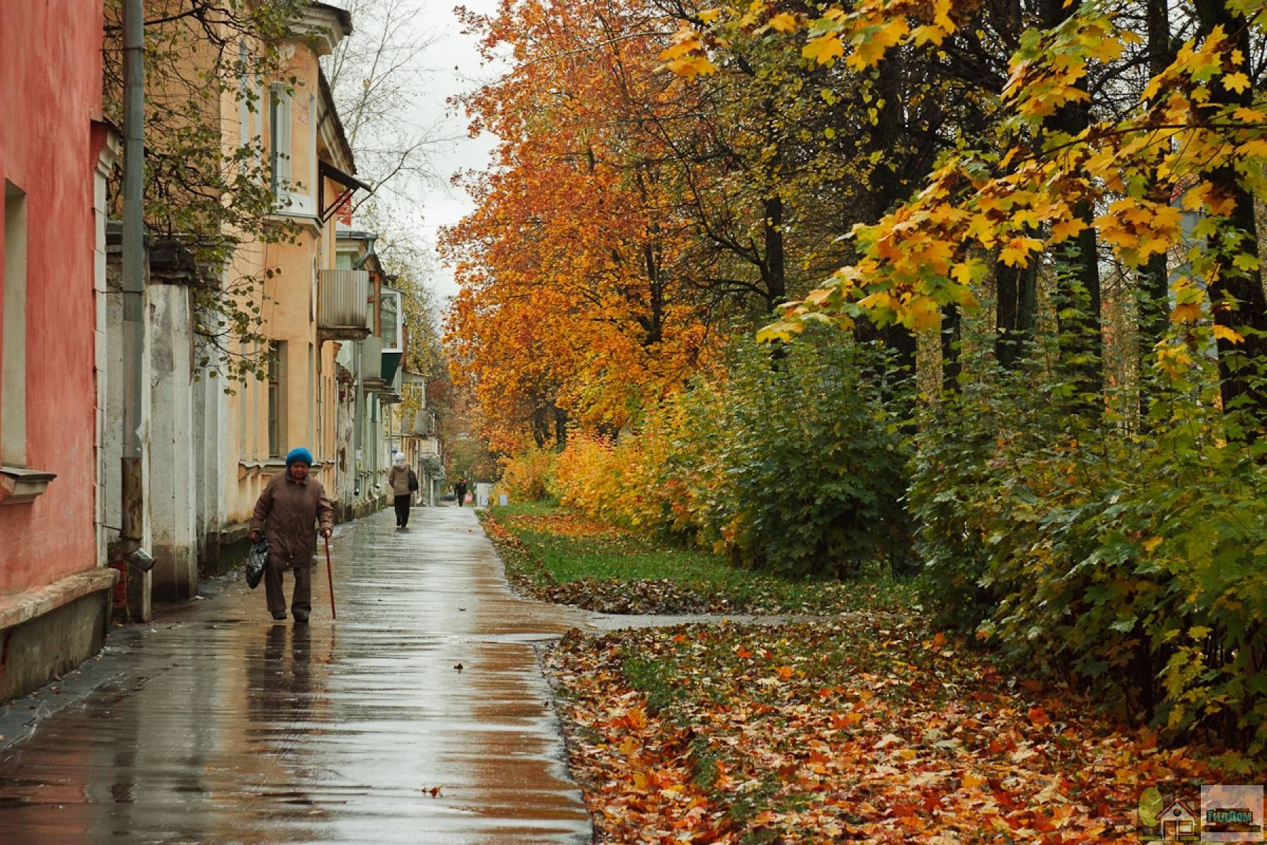 парки глазова