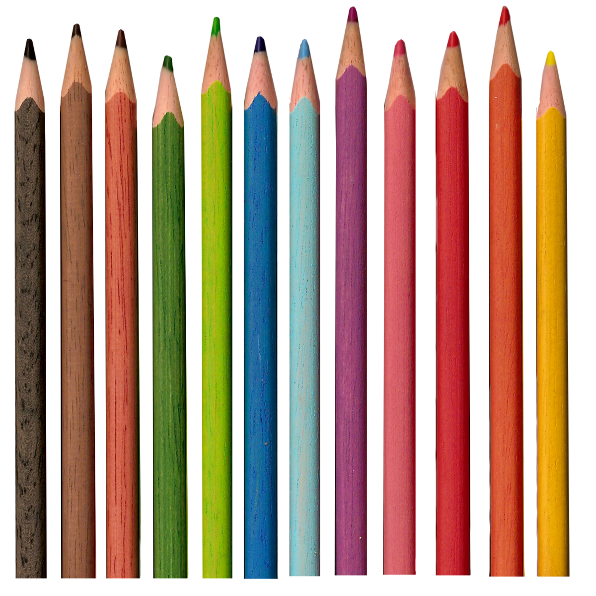 Ten pencils. Карандаши цветные. Цветные карандаши на белом фоне. Рисование карандашом. Карандаш на белом фоне.