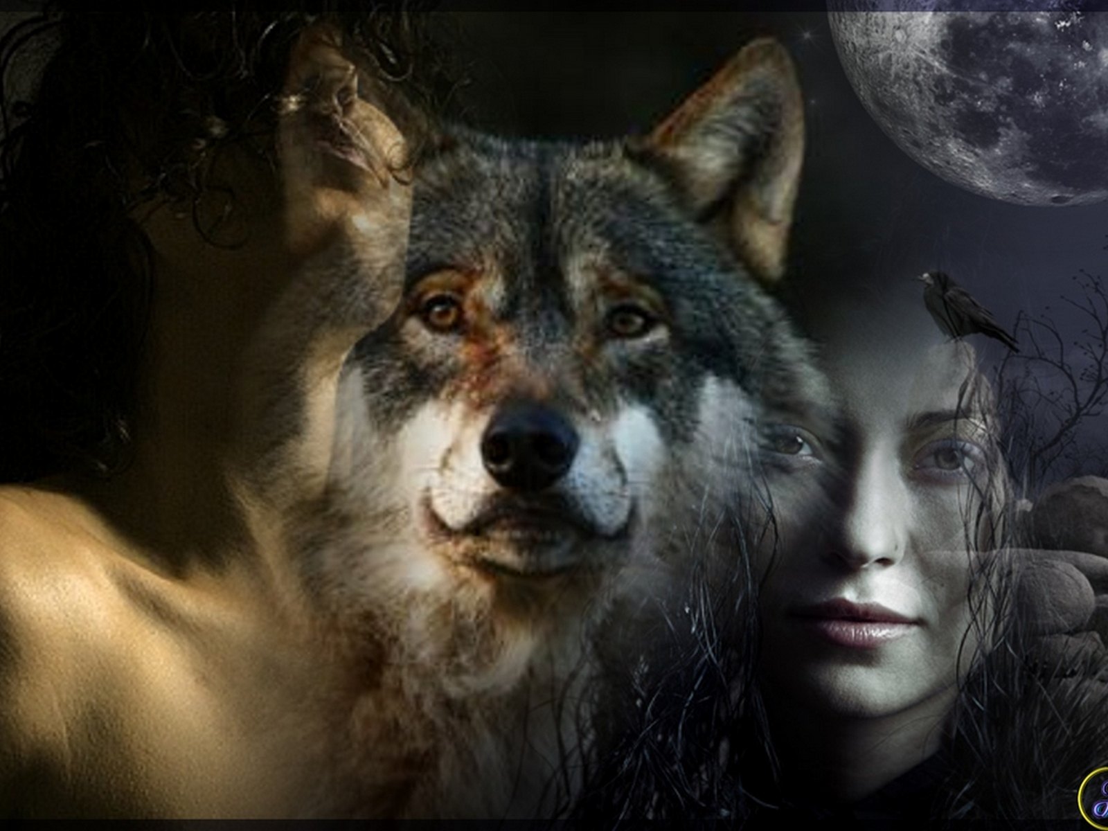 Женщина подобрала волка. Волчица и девушка. Красивый волк. Фотосессия с волком. Девушка с волком.