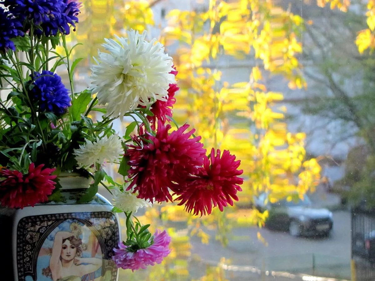 Доброе утро с хризантемами картинки красивые и надписями