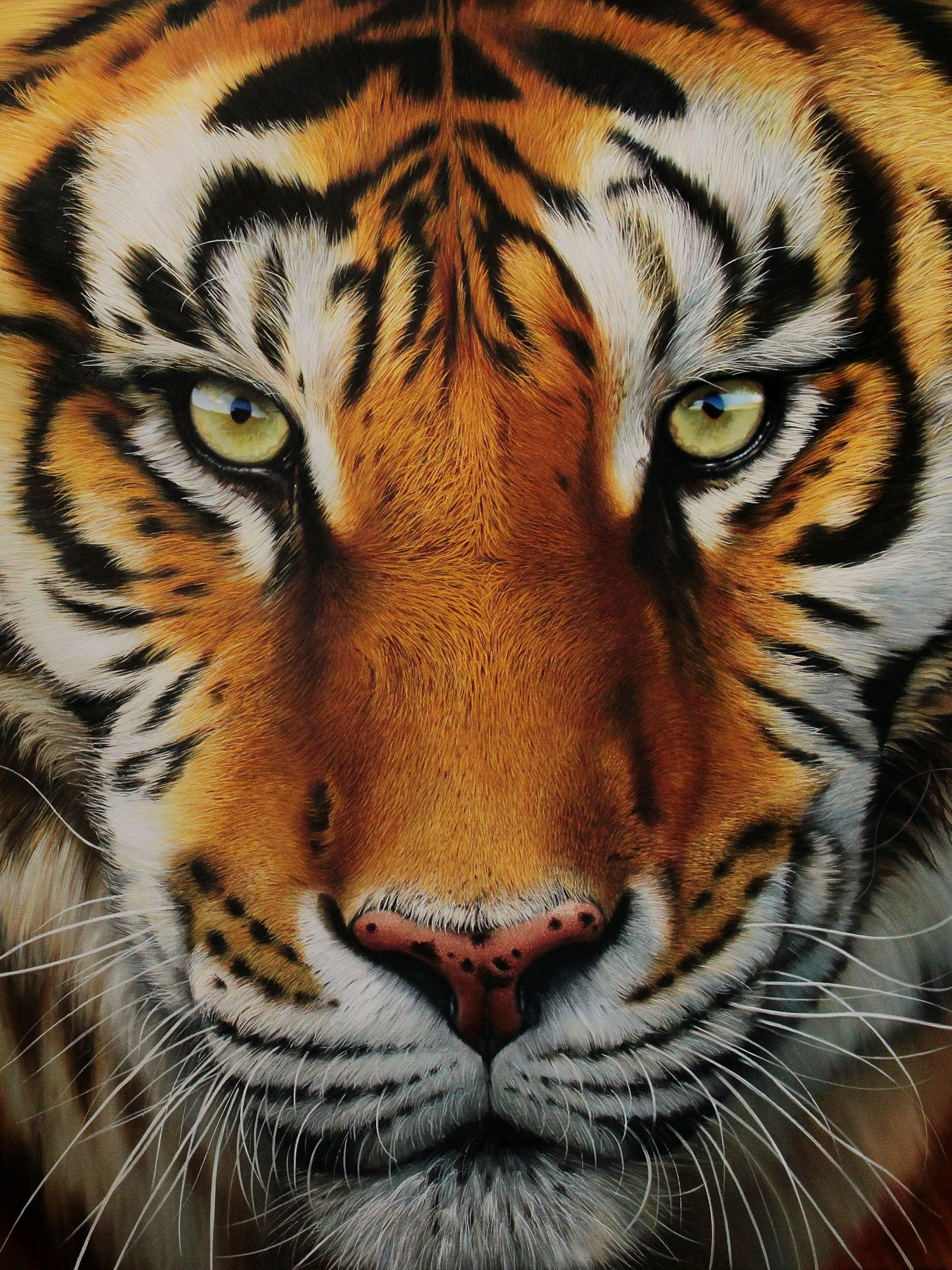 Морда тигра - картинки и фото yesband.ru