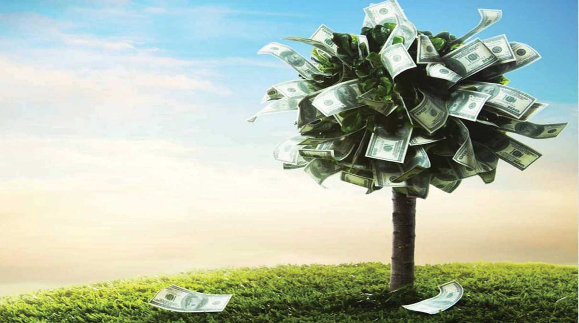 Умножить свое богатство. Дерево с деньгами. Деньги фон. Дерево из долларов. Дерево из денег.