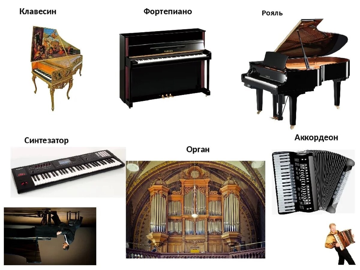 /Фортепиано, клавесин, орган, аккордеон/
