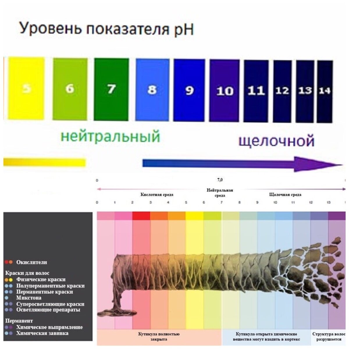 Уровень PH волоса