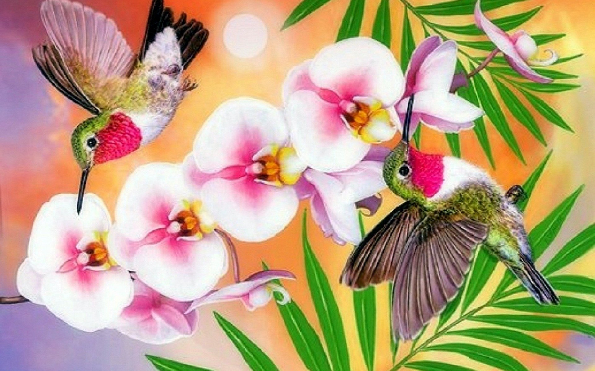 Тропические цветы и Колибри
