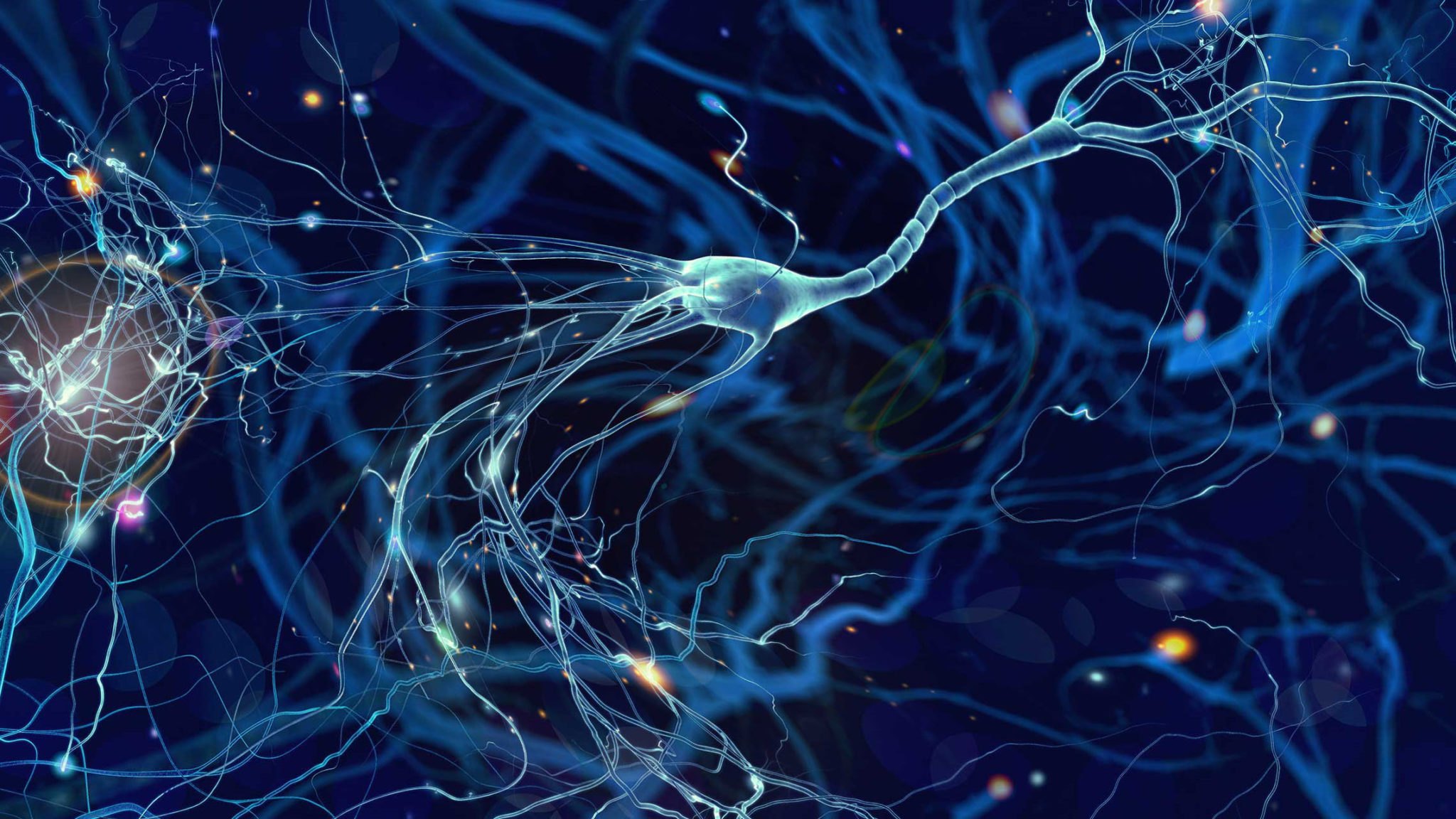 Осуществляет связь между нейронами какой нейрон. Нейрон. Клетка нейрона. Нейроны мозга. Нервная система Нейрон.