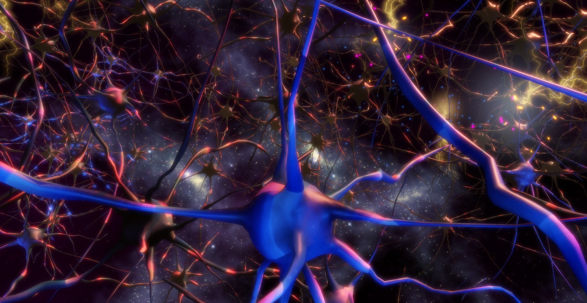 Осуществляет связь между нейронами какой нейрон. Моносенсорные Нейроны. Синапс нейрона. Нейроны фон Экономо. Синапс 3д.