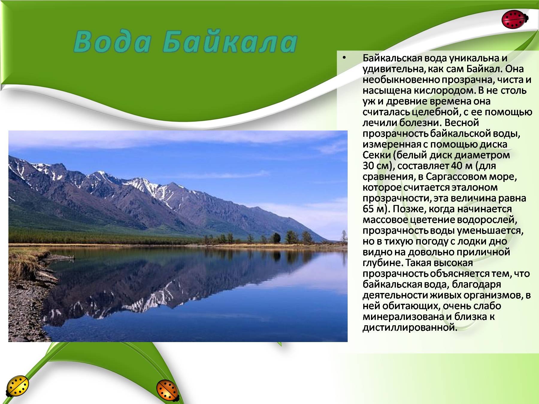 Природа Байкала презентация
