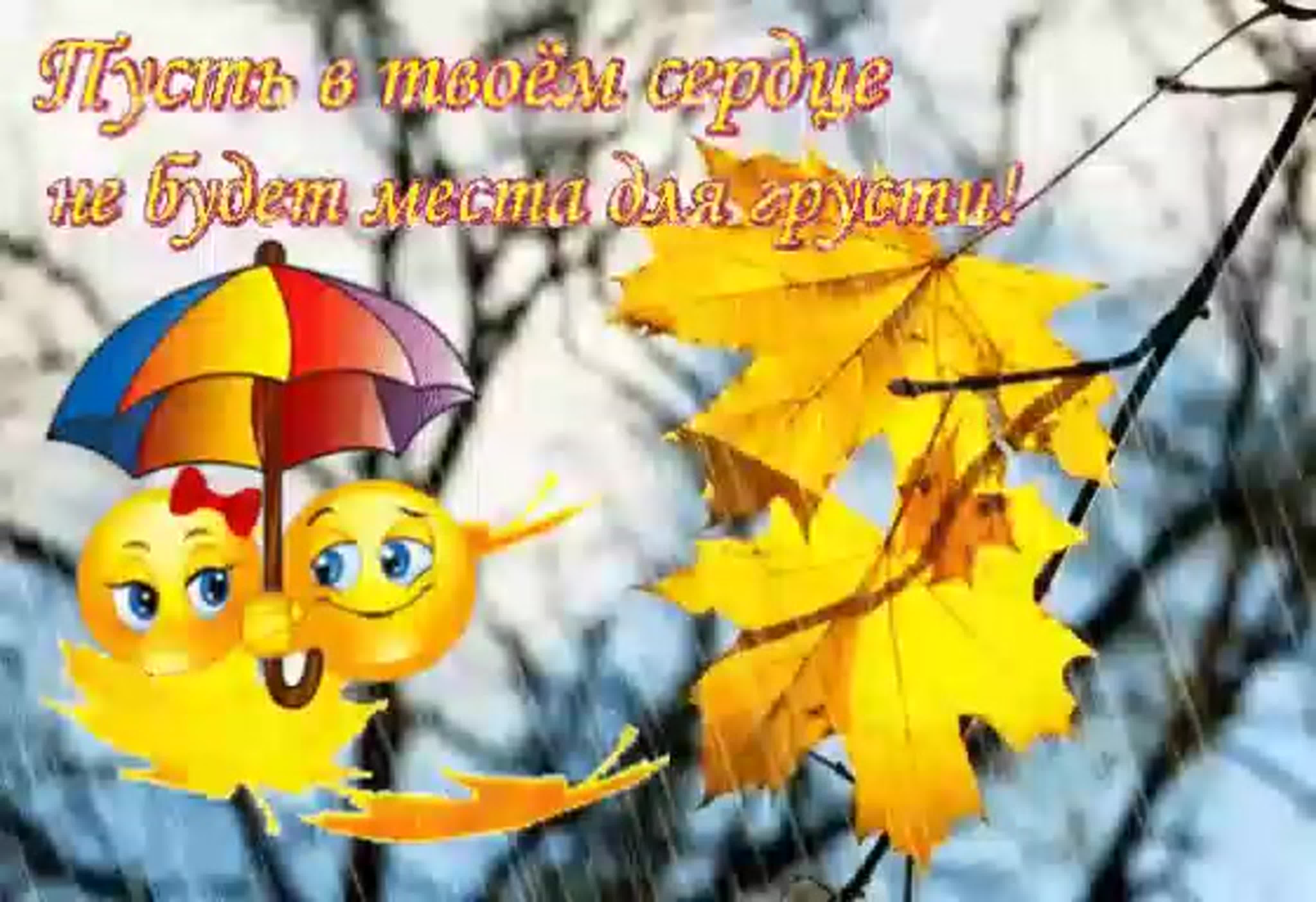 Доброго дождливого осеннего дня и хорошего настроения
