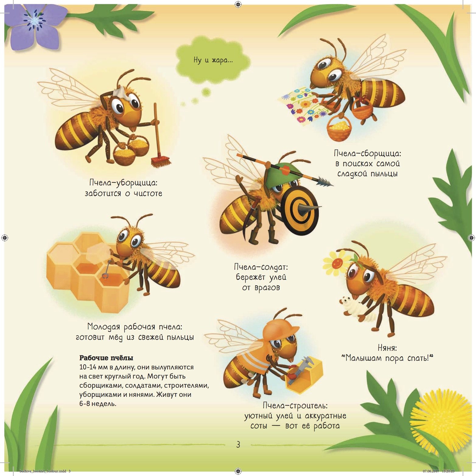 Отношения между крапивницей и домашней пчелой. Пчела для детей. Детям о пчелах для дошкольников. Пчелиная семья для дошкольников. Пчела информация для детей дошкольного возраста.