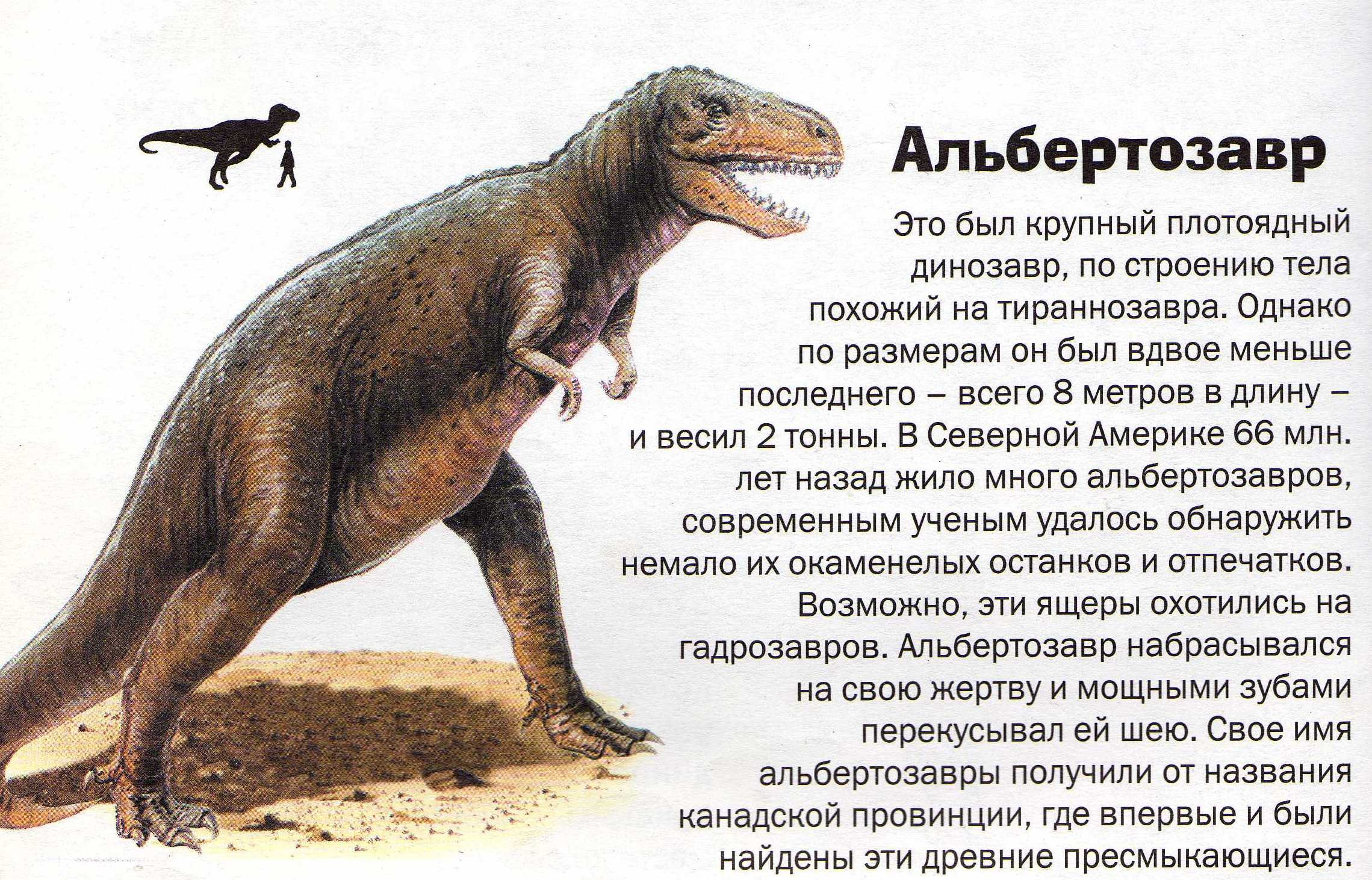 Рассказ про динозавров для 1 класса. Истории о динозаврах. Покажи истории про динозавров. Доклад про динозавров.
