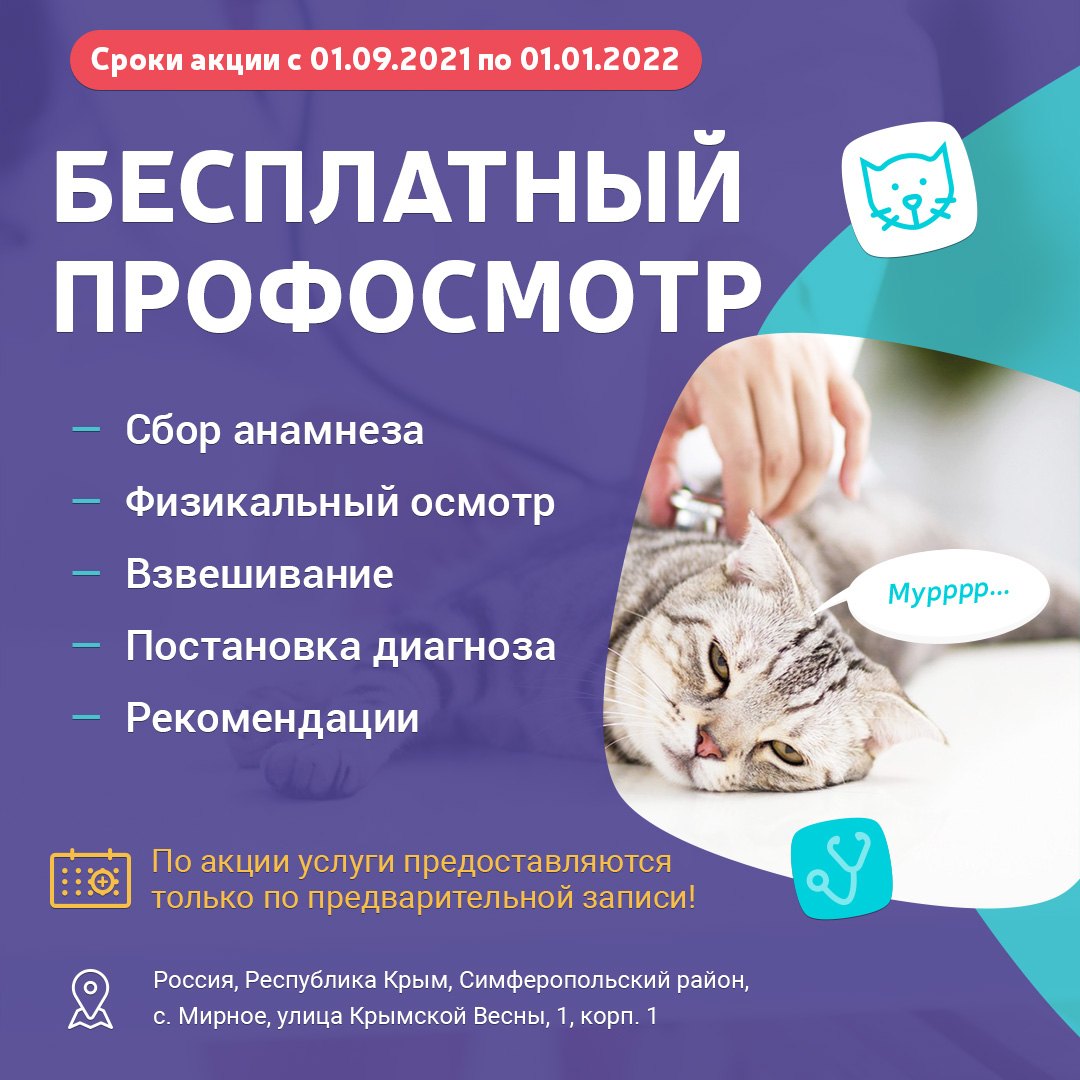 Animalface vet. Реклама ветеринарной клиники. Акции в ветеринарных клиниках. Баннер ветклиники.