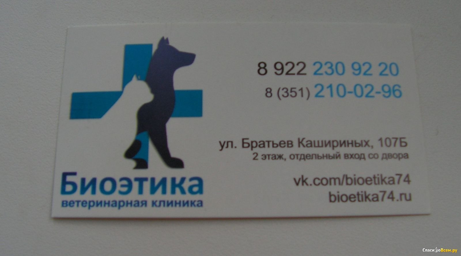 Визитки челябинск. Биоэтика ветеринарная клиника Челябинск. Визитка ветеринара. Ветеринарные визитки. Визитка ветклиники.