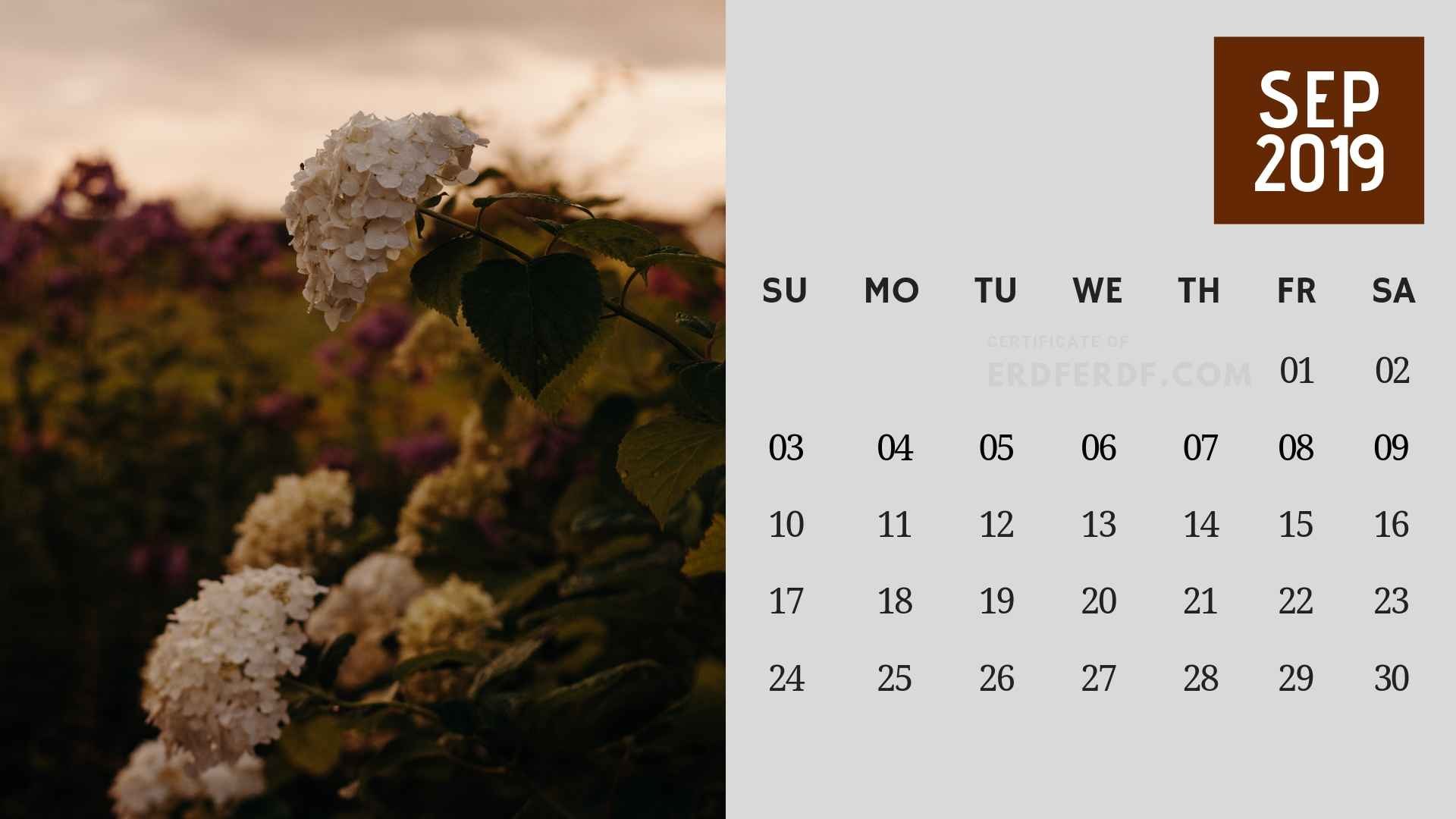 Календарь 6 сентября. Календарь на октябрь Эстетика. Календарь сентябрь на заставку. Красивый эстетичный календарь. Календарь на сентябрь эстетичный.