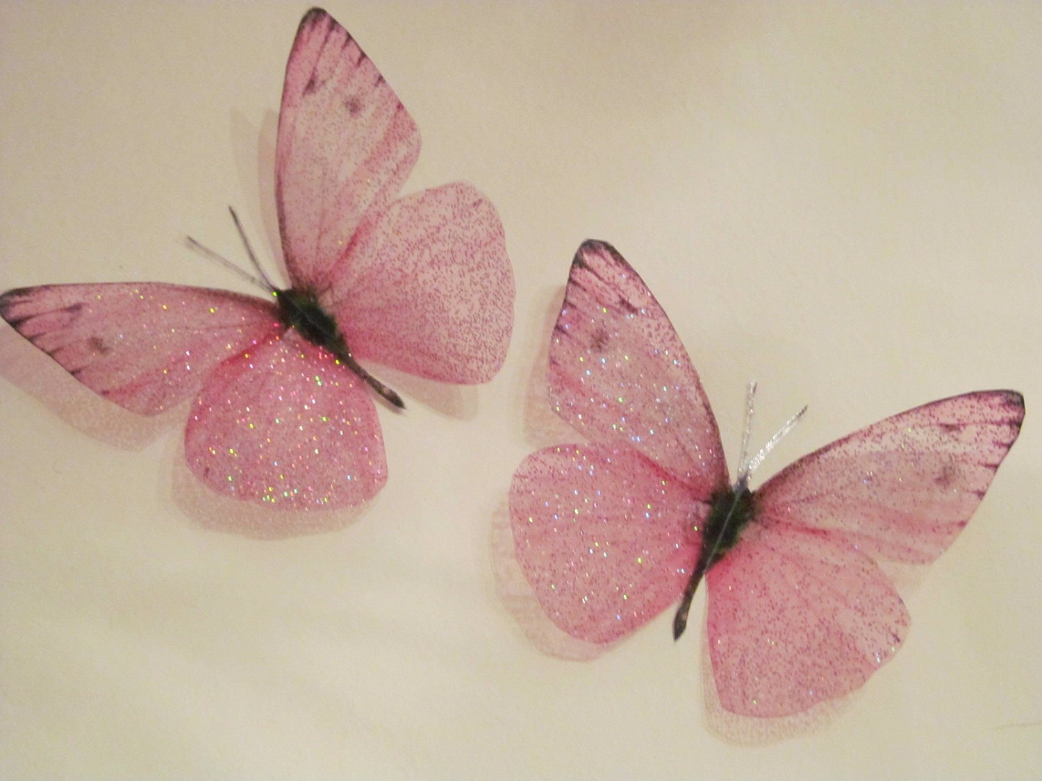 Эстетичные бабочки