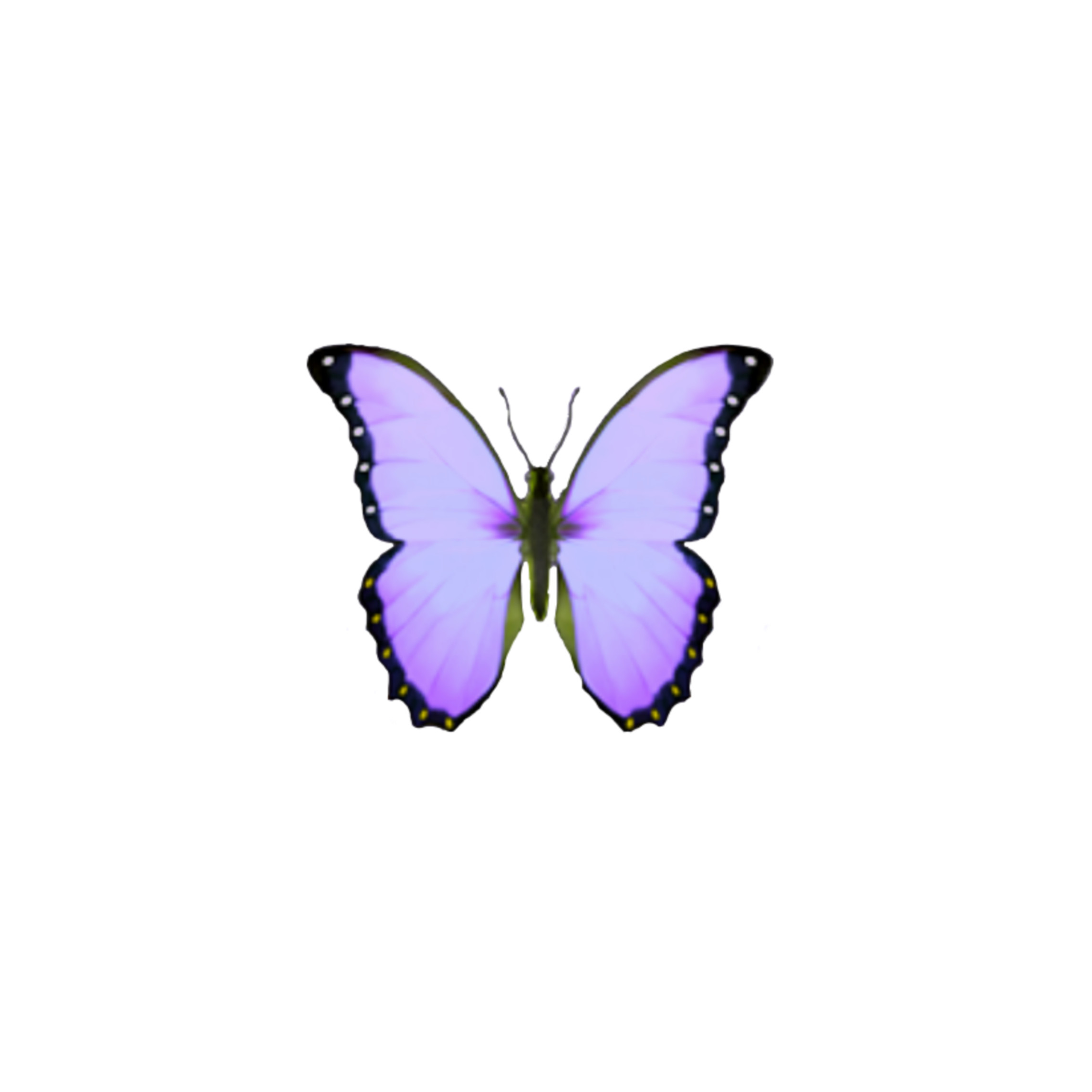 Бабочка над головой. Синяя бабочка. Бабочка стикер айфон. Синяя бабочка смайлик. Голубая бабочка стикер.