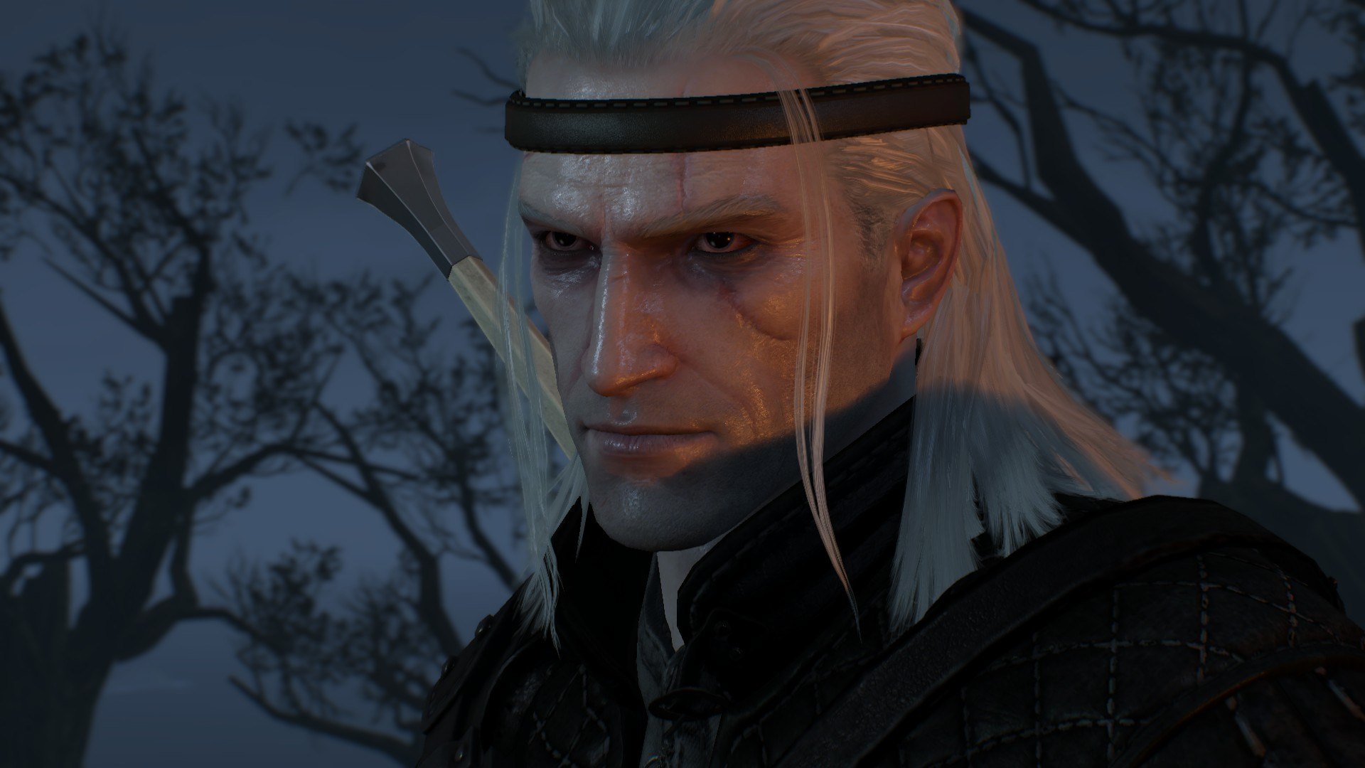 The witcher 3 geralt hairstyle фото 76