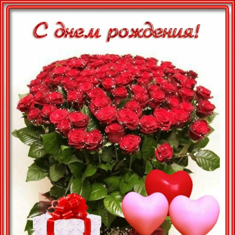 Открытка с Днем рождения на 51 год с красными розами.