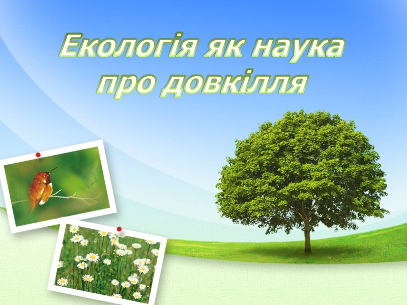 Растение живой организм