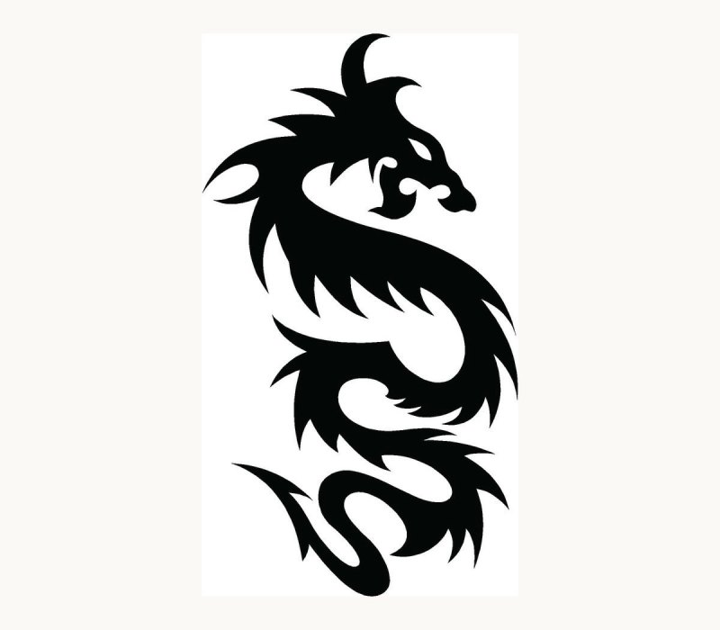 Черно белый дракон арт