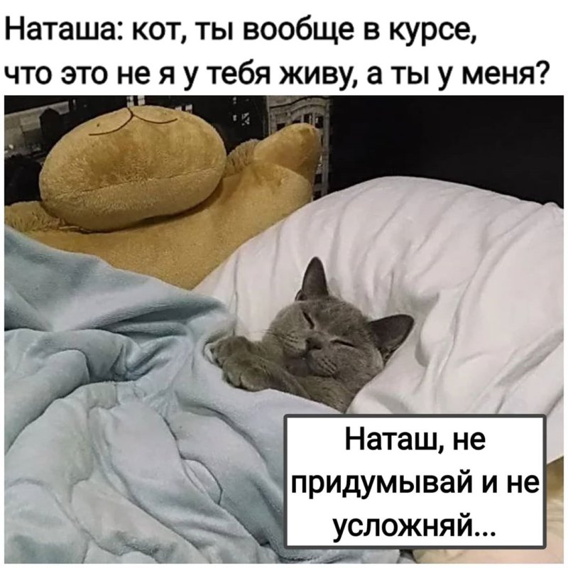 С днём рождения розовые котики