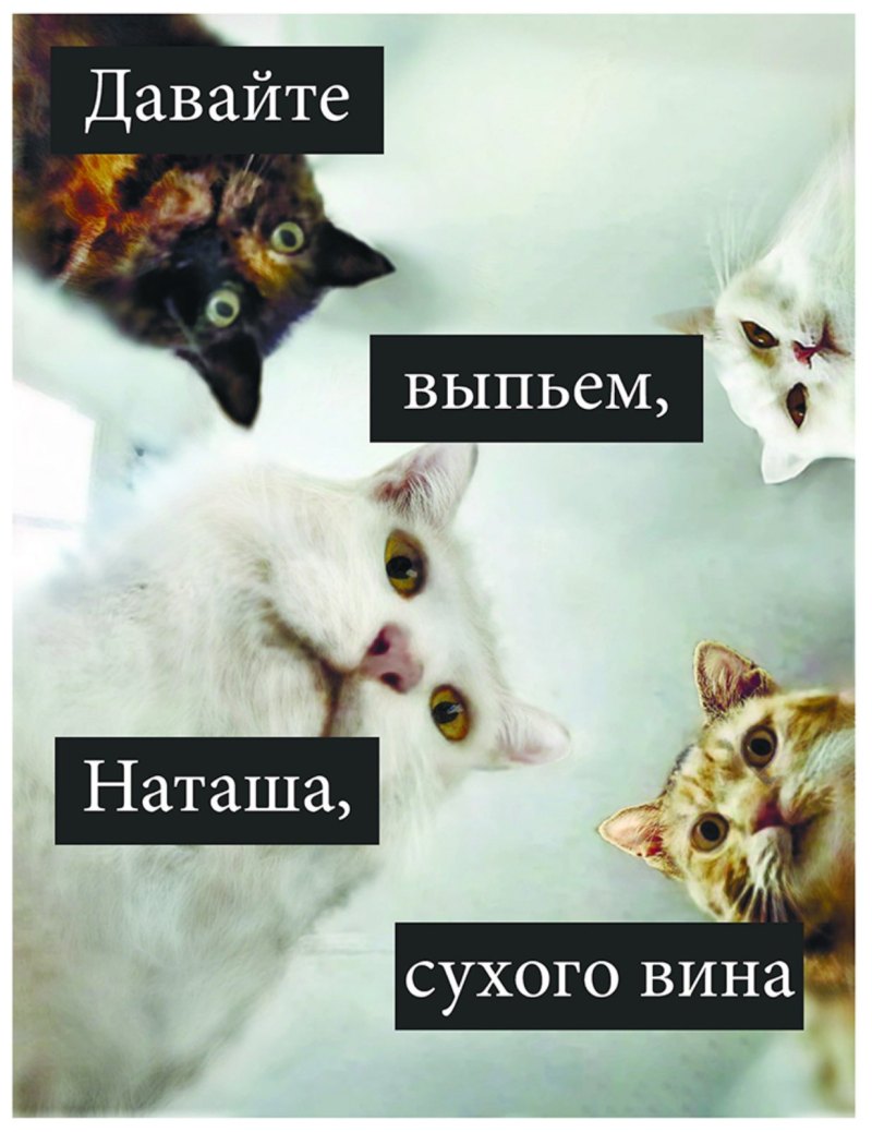 Мем Наташа и коты