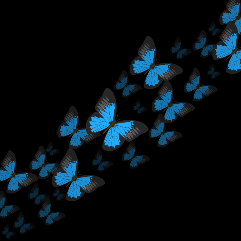 Черно синяя бабочка. Синяя бабочка. Бабочки на черном фоне. Неоновые бабочки. Синяя бабочка на черном фоне.