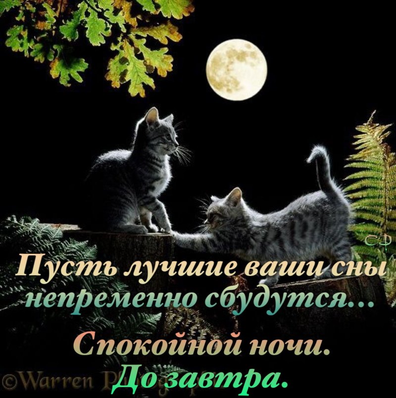 Спокойной субботней ночи