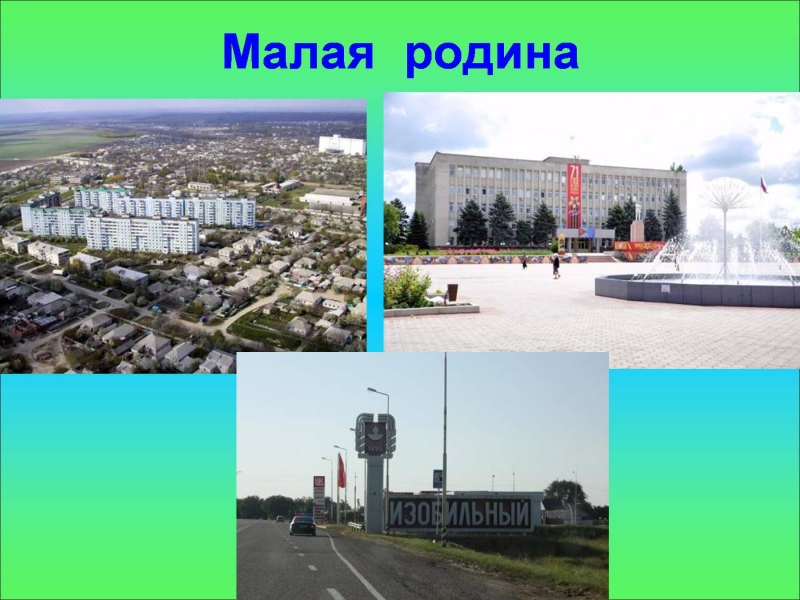 Новосибирск проект моя малая родина