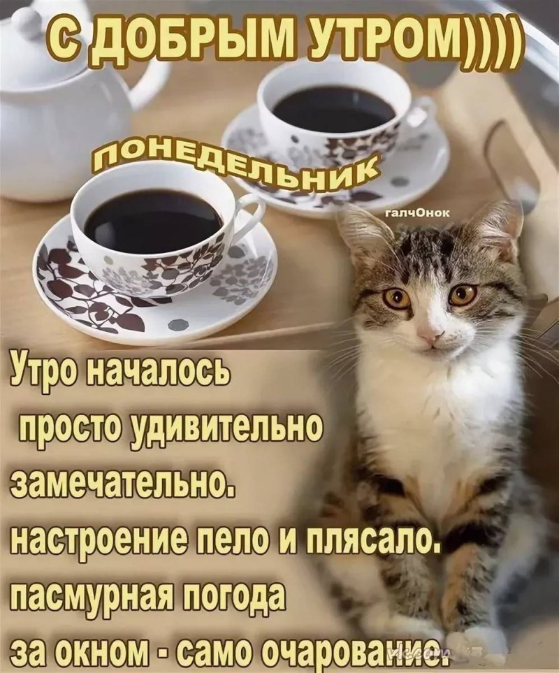 С добрым утром понедельника