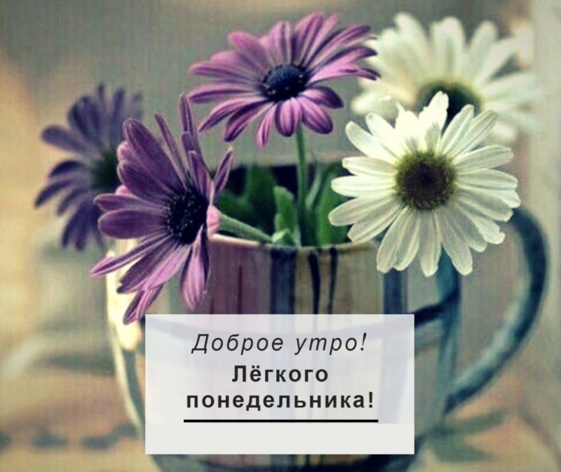 Желаем хорошего дня и продуктивной недели