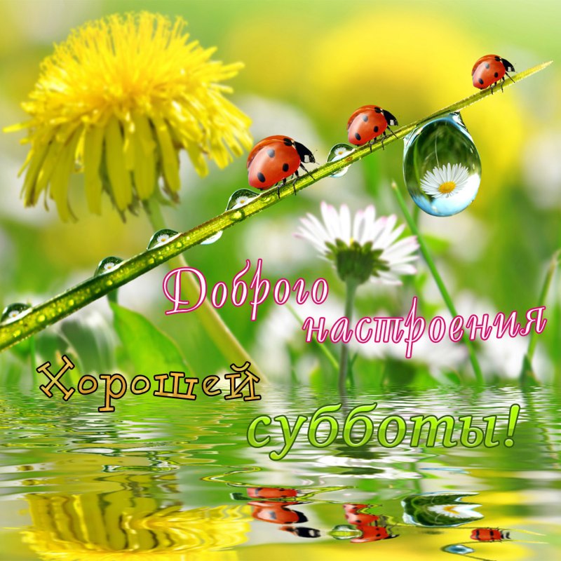 Веселой субботы