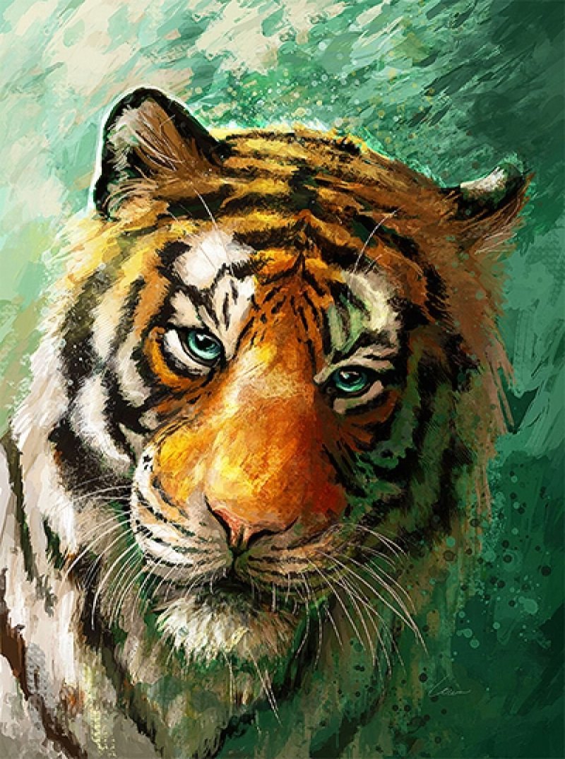 Тигр рисунок