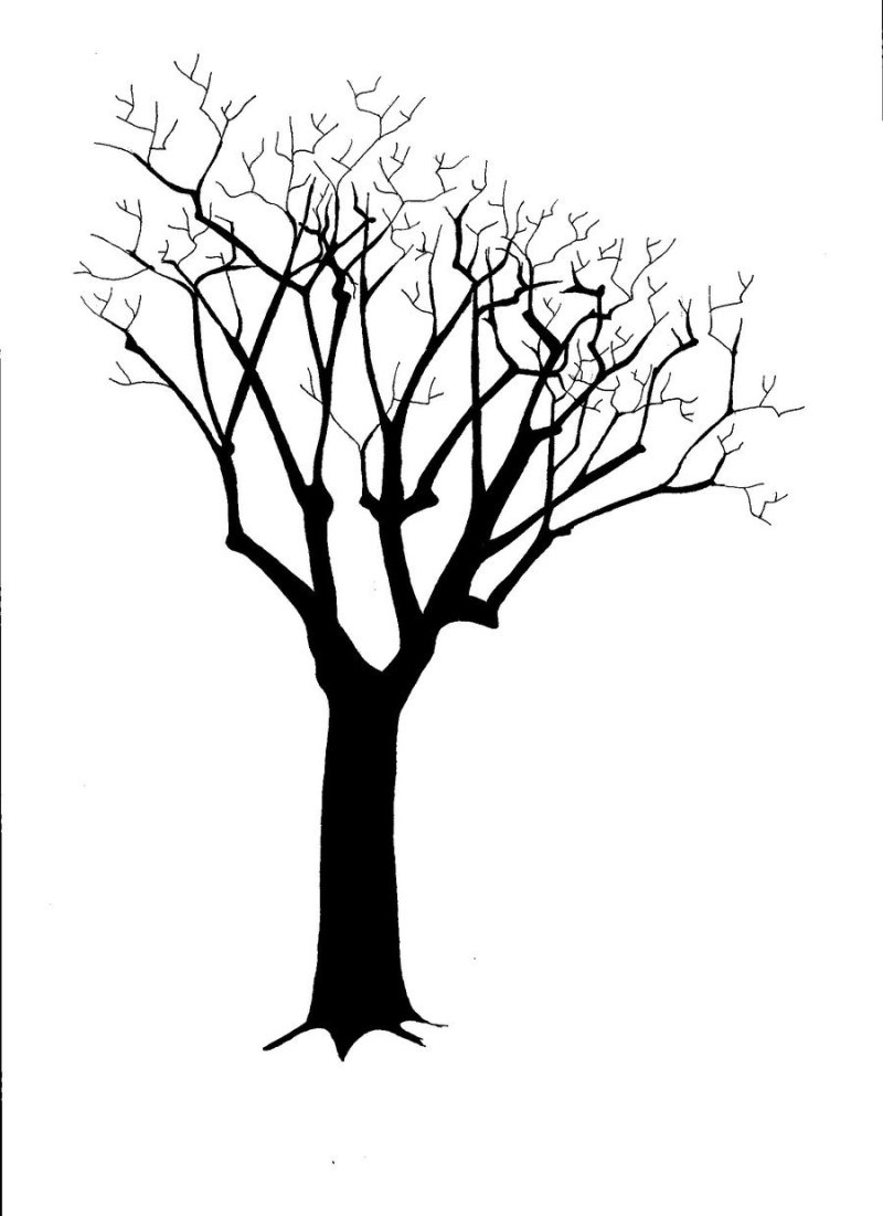 Силуэт дерево рисунок