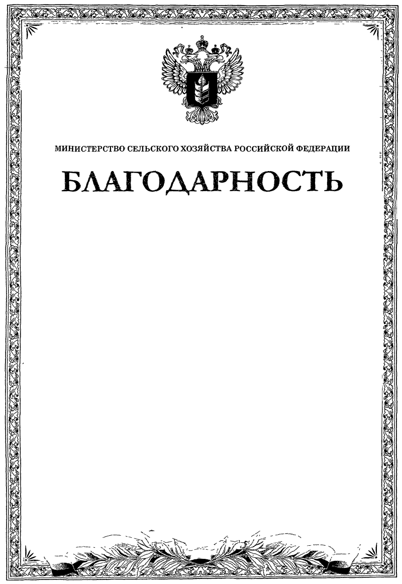 Шаблон грамоты черно белый. Рамка для благодарности. Рамка для благодарственного письма. Благодарность бланк. Письмо благодарности макет.