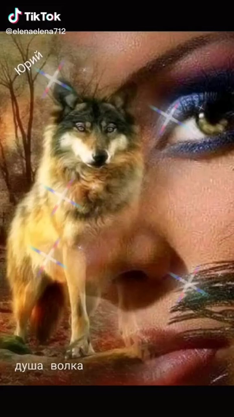 Волчица и девушка