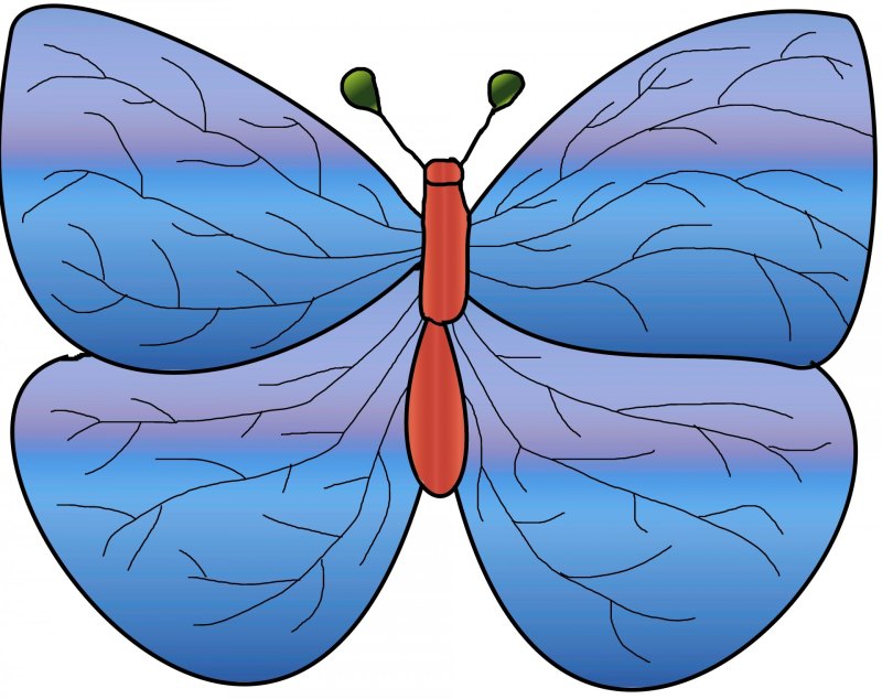 Бабочки картинки для детей с глазами