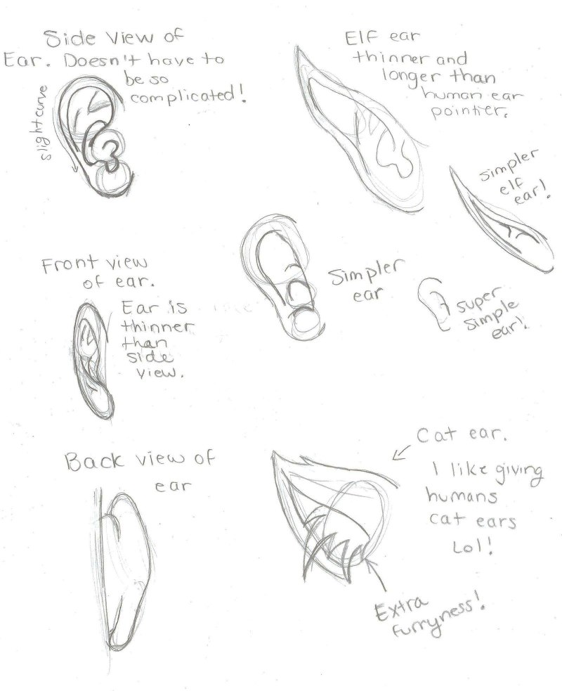 Туториал как рисовать уши