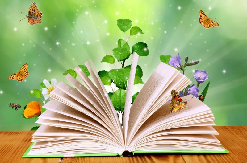 Красивый фон для детской книжки